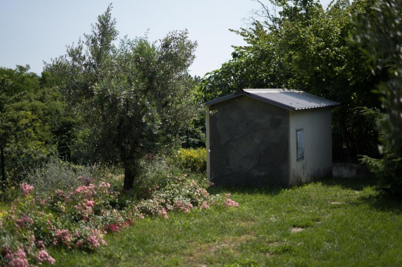 Villa Silvana - Apt Giulia & Michela With Terrace & Parking ペルージャ エクステリア 写真